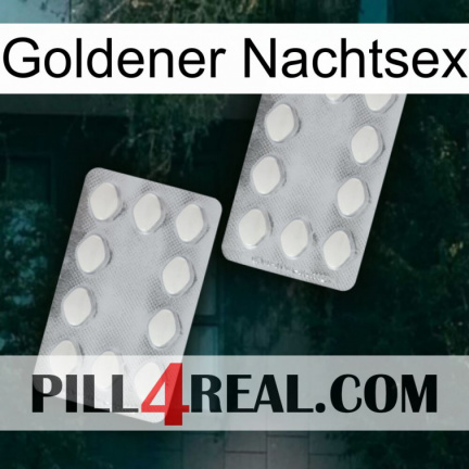 Golden Night Sex 17